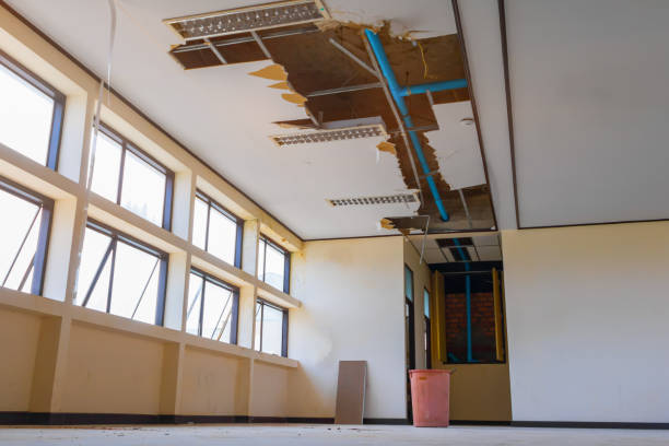 Best Basement water damage restoration  in Almedia, PA