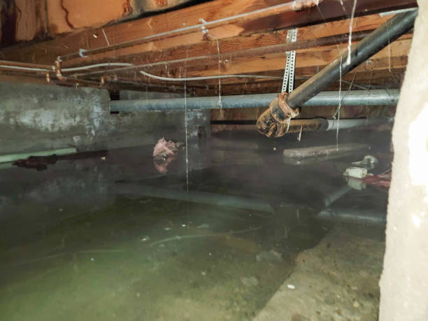 Best Water damage restoration near me  in Almedia, PA