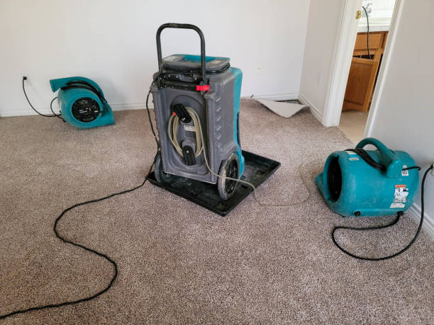 Best Water damage restoration mold remediation  in Almedia, PA