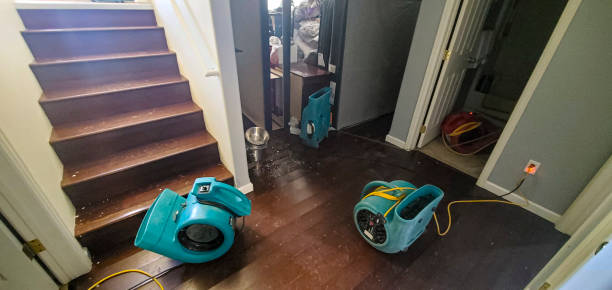 Best Local water damage restoration  in Almedia, PA