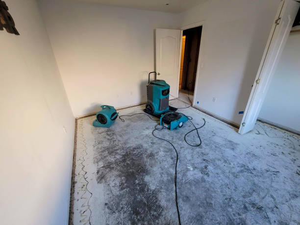 Best Professional water damage repair  in Almedia, PA