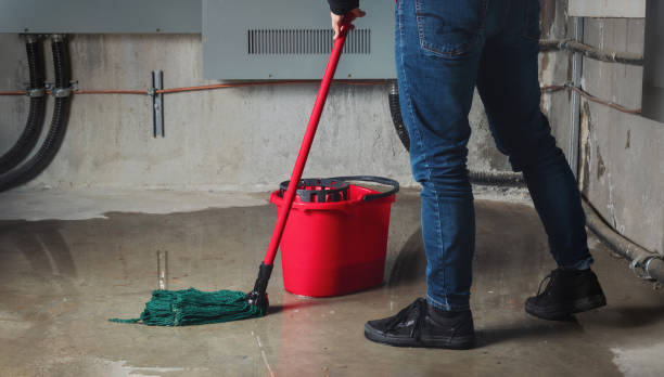 Best Professional water damage repair  in Almedia, PA