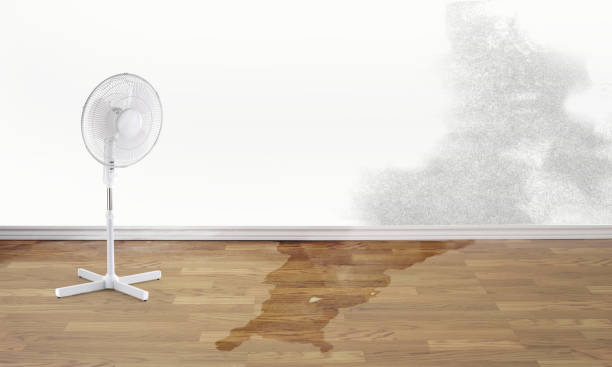 Fire Damage Restoration in Almedia, PA