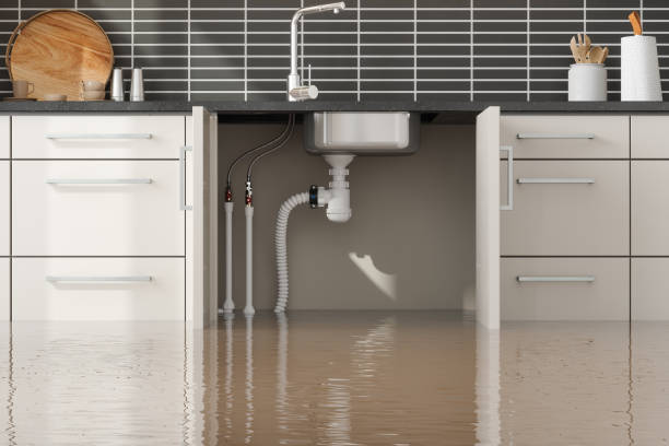 Best Water damage restoration specialists  in Almedia, PA