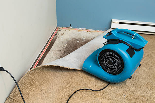 Best Flood damage cleanup  in Almedia, PA
